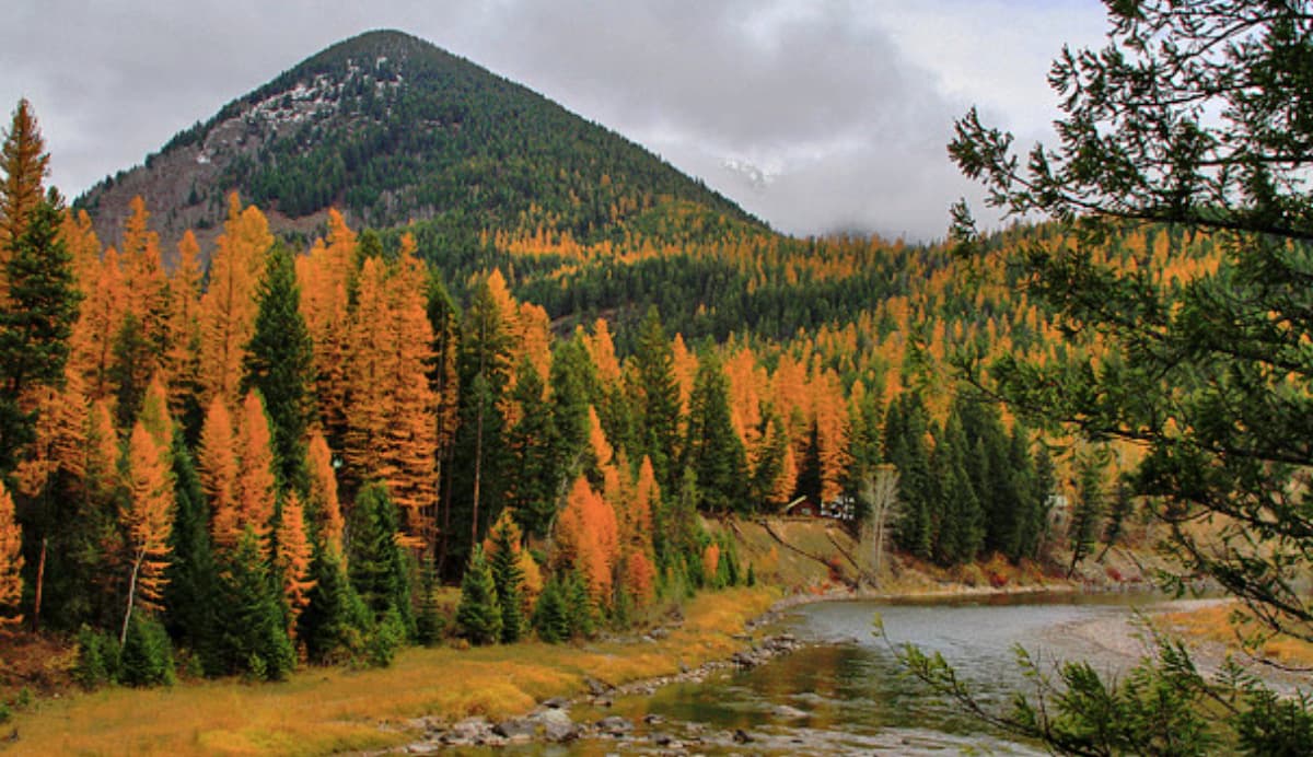 In Montana This Fall? Go Leaf Peeping at Yellowstone and Glacier National Parks